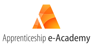 Apprenticeship e-Academy