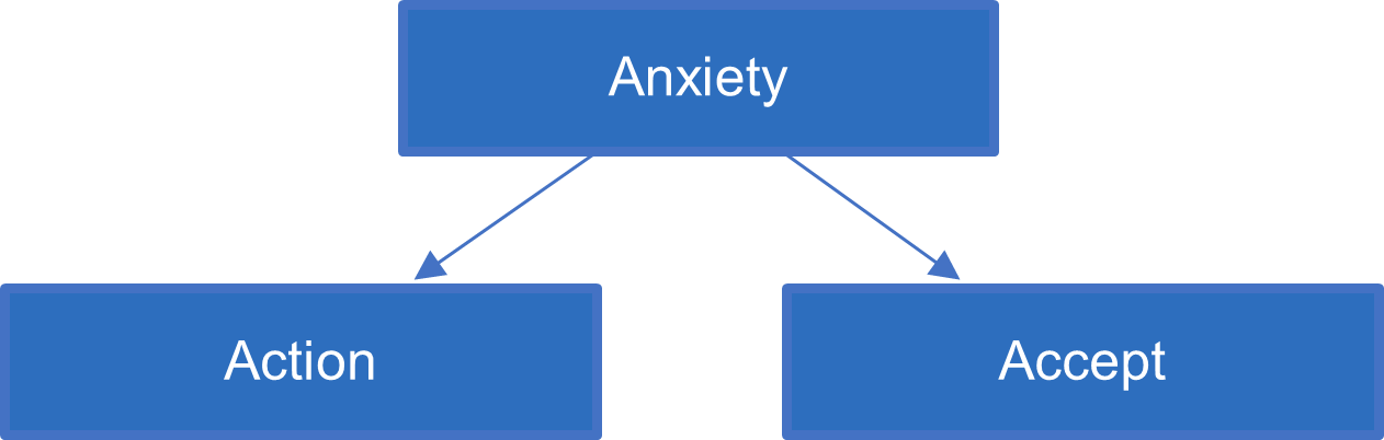 3A model: Anxiety, Action, Accept