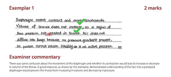 An extract from the candidate exemplars