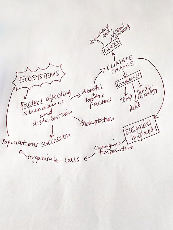 Circular flow map from FSC lesson on biodiversity