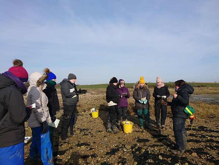 Jo Harris teaching biology students at Holbrook salt marsh