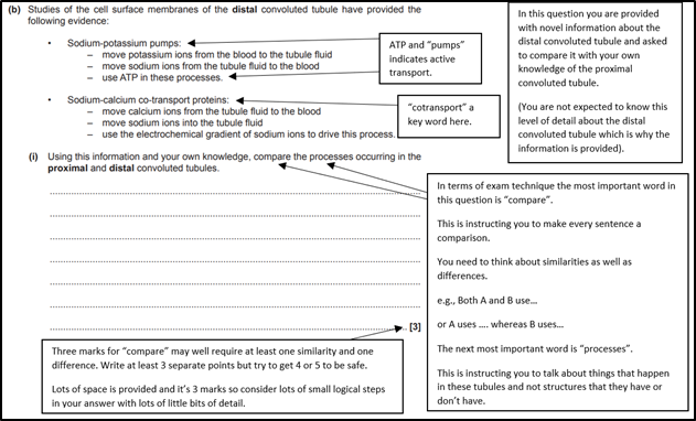 Biology-exam-resource