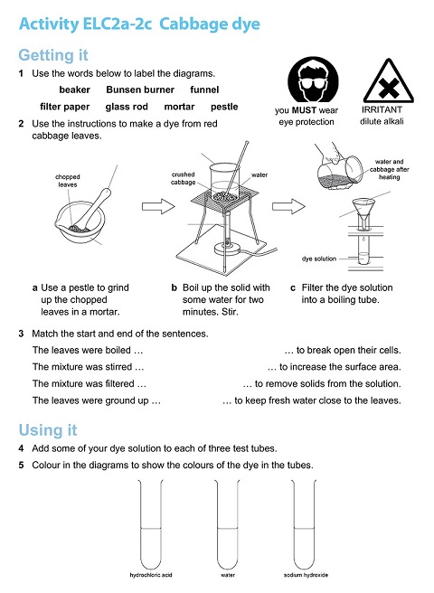 Activity sheet for ELCa-2c: Cabbage dye.