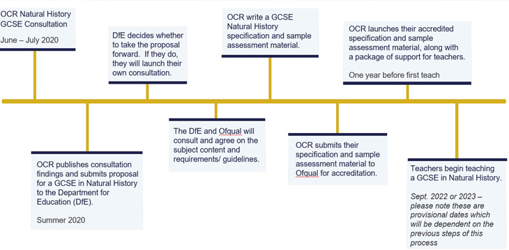 Timeline showing key dates for the GCSE in Natural History consultation
