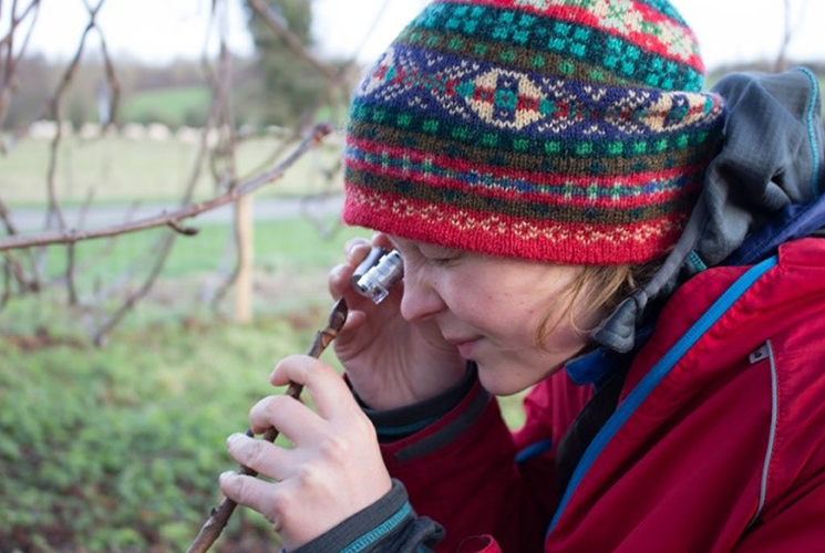 Person examining a bud using a magnifying eye glass