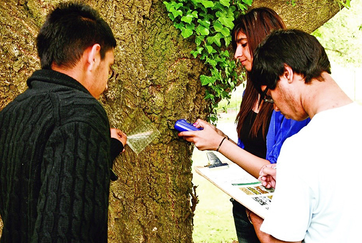 Three students studying a tree trunk