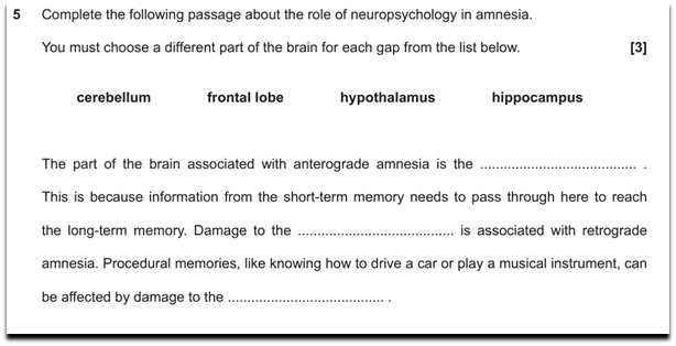 Psychology blog Example 3