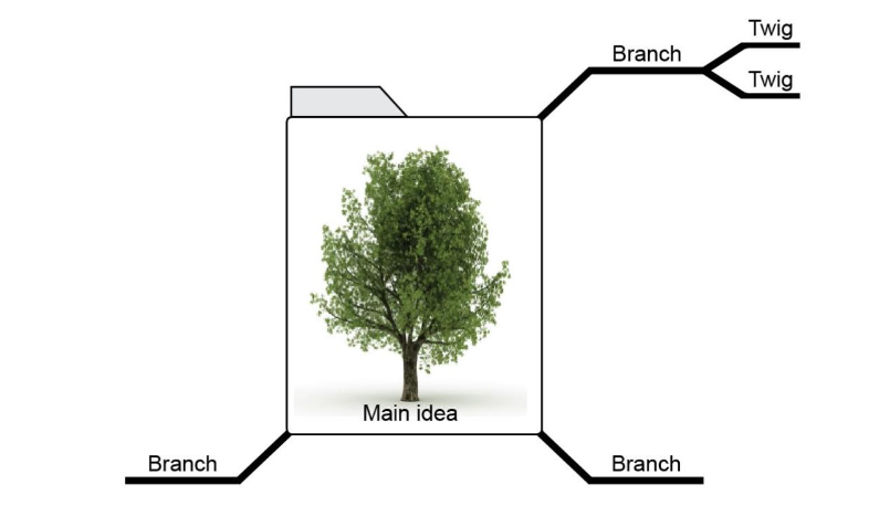 Revision Blog Mind Map.png