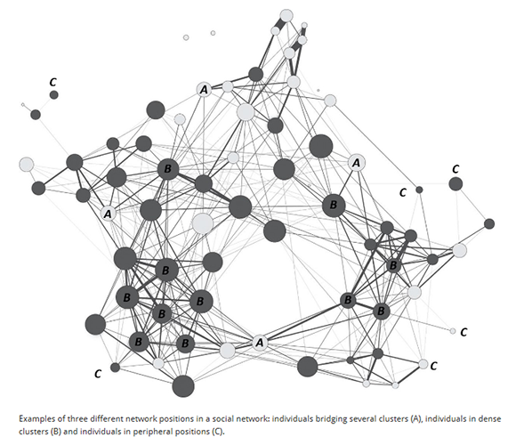 Image showing examples of three different network positions in a social network: individuals bridging several clusters (A), individuals in dense clusters (B) and individuals in peripheral positions (C).